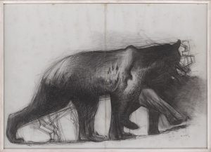 Με αφορμή ένα ζώο