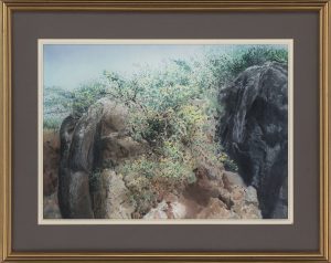 “Yellow flowering bushes on the rock I”