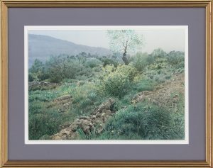 “Katakali, the path down to the sea”