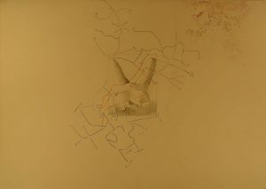 Female nude and drawings