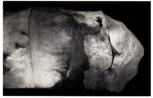 Αναπαραγωγή έργου