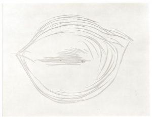 Αναπαραγωγή έργου