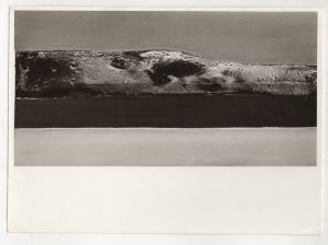 Αναπαραγωγή έργου