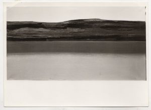 Αναπαραγωγή έργου