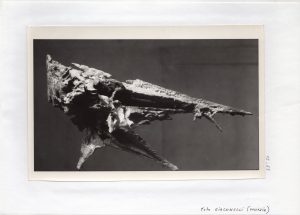 Αναπαραγωγή έργου της Ι. Βεροπούλου-Σπητέρη «Emergenza»