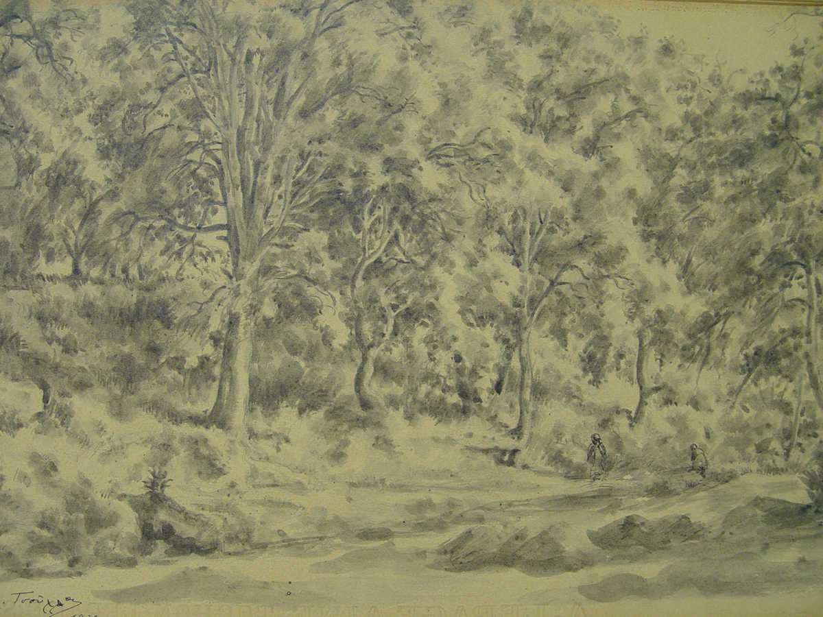 Landscape with trees