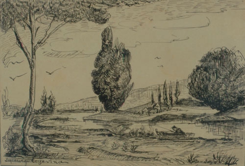 Landscape
