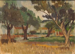 Olive grove