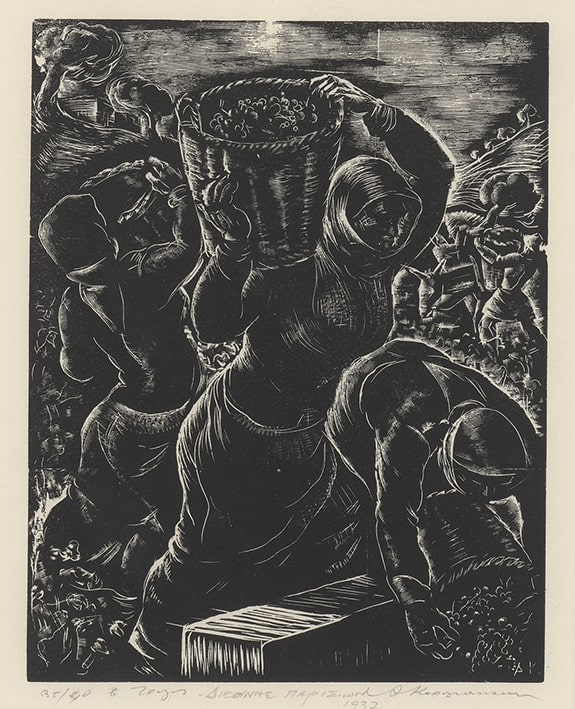“Grape harvest”
