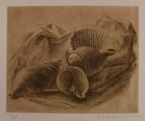 “Shells”