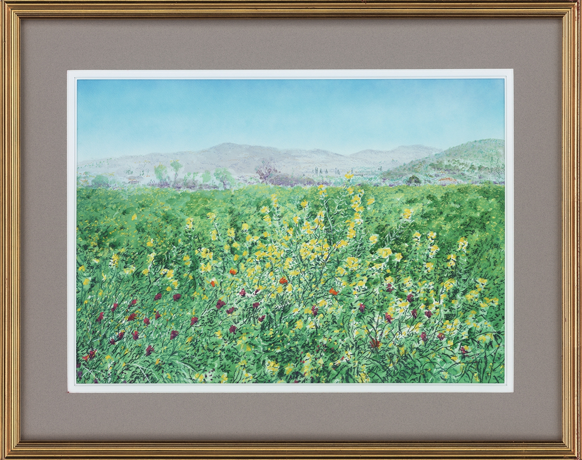 “Spring meadow with mountain beyond”