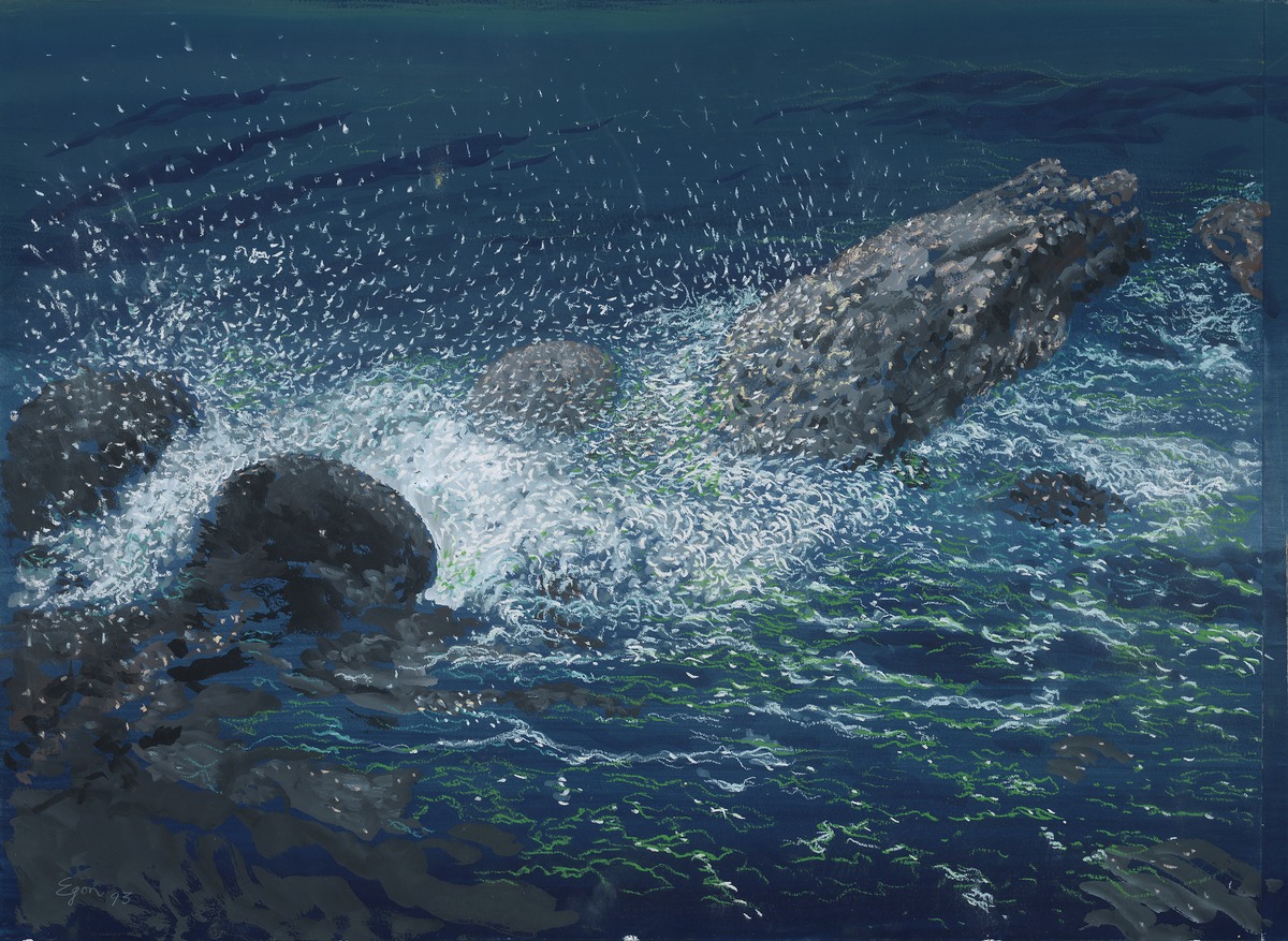 “Waves and spray on rocks”
