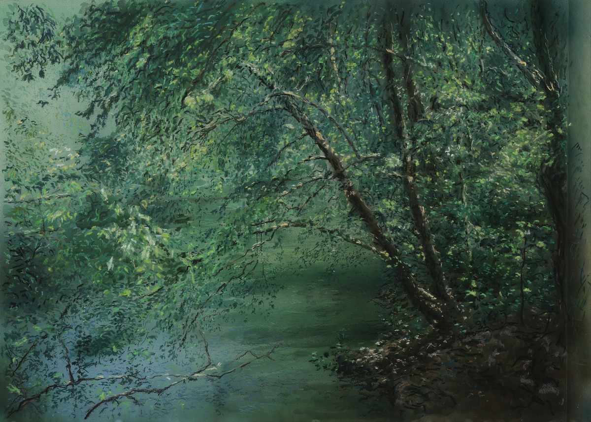 “Trees over a brook”