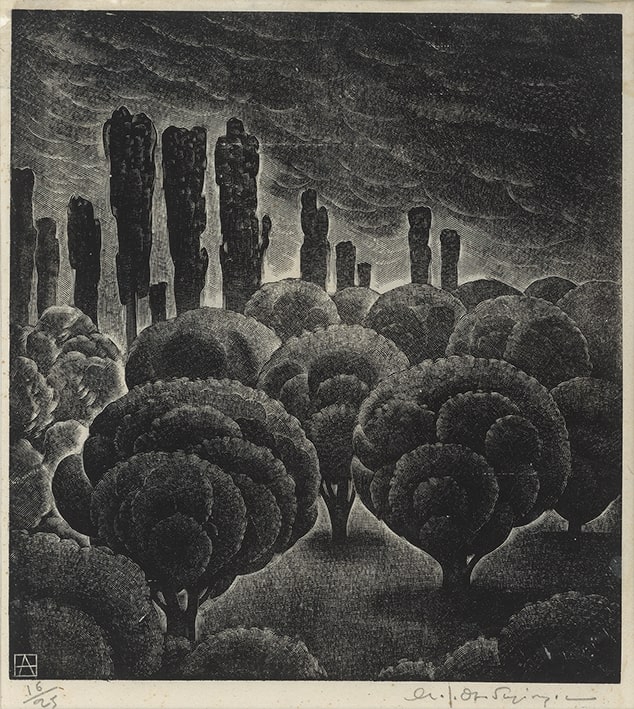 “Olive trees and cypresses”