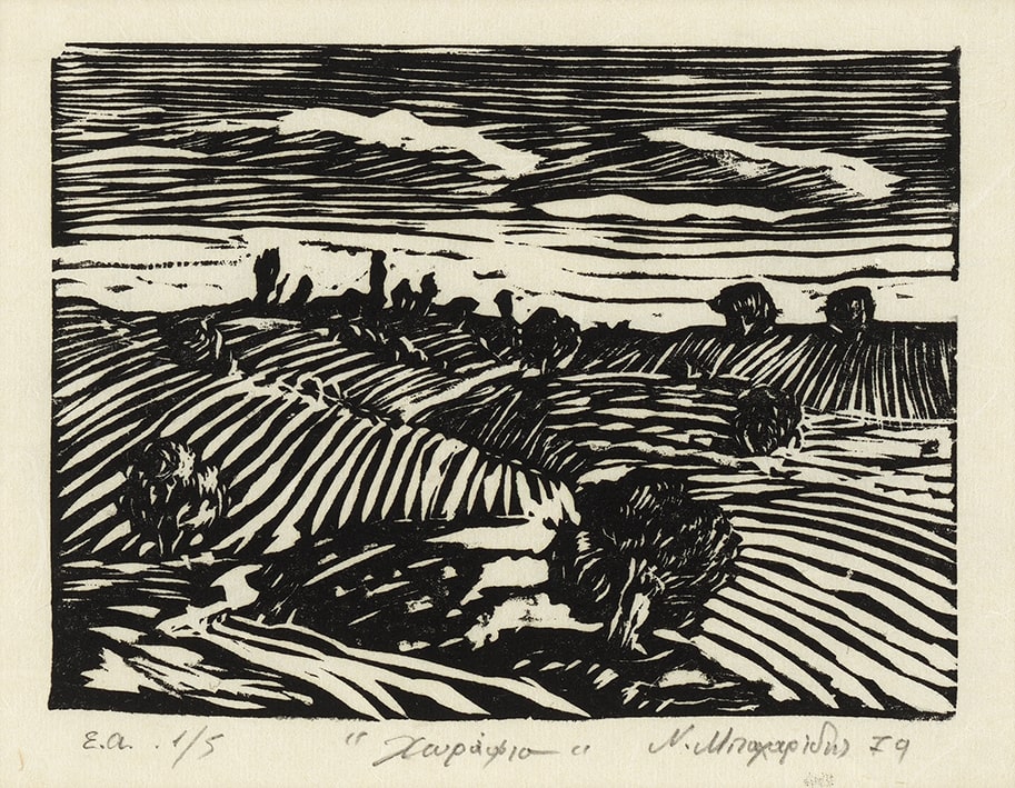 “Fields”