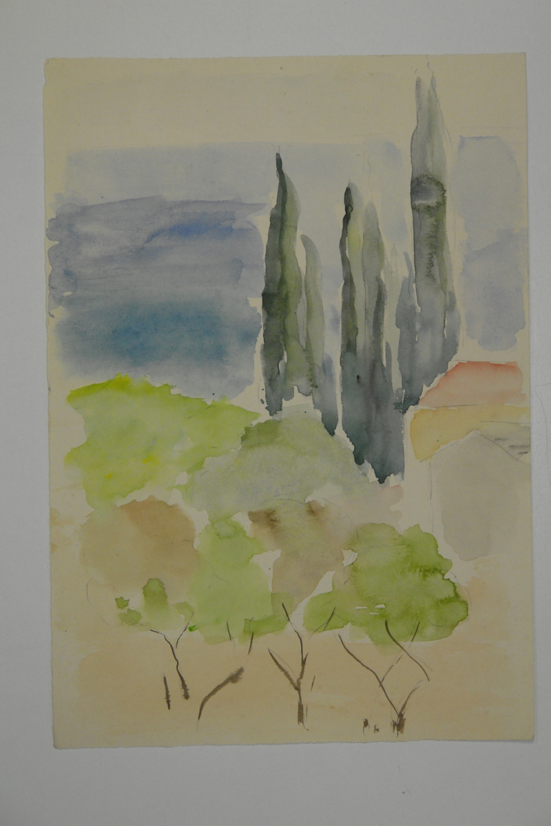 Landscape