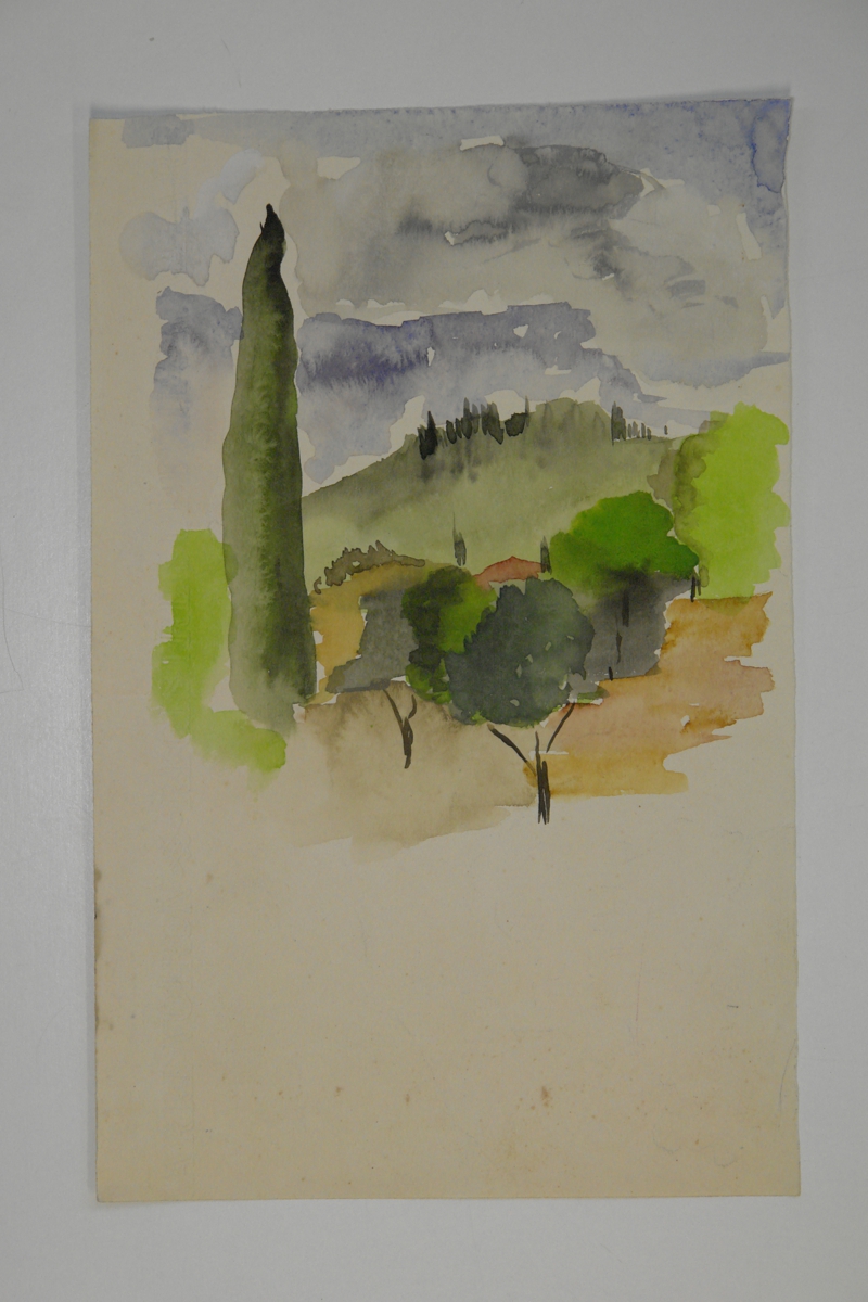 Landscape