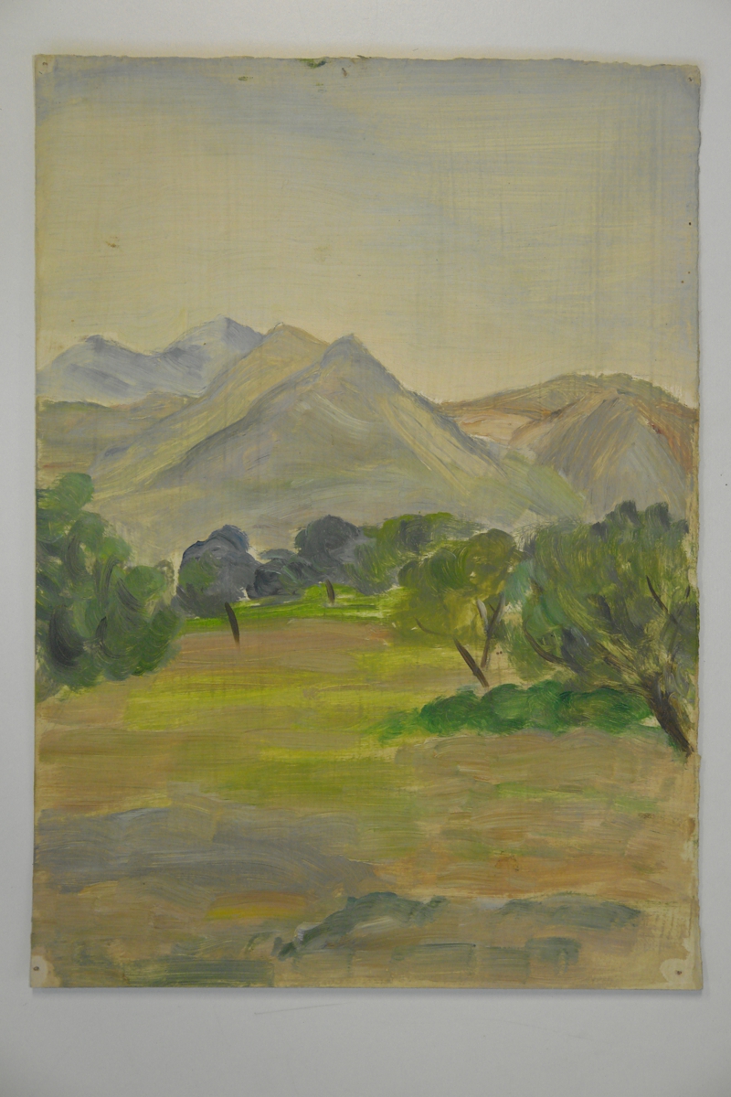 Landscape