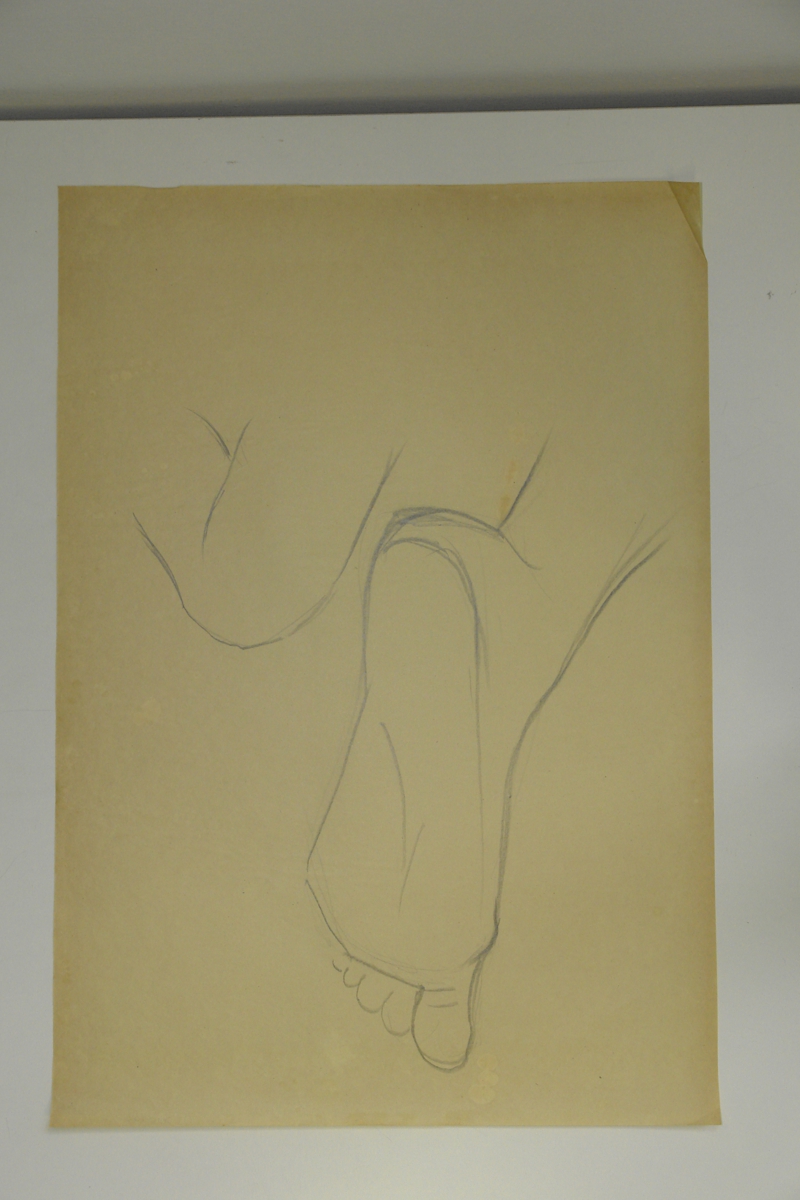Footprint study