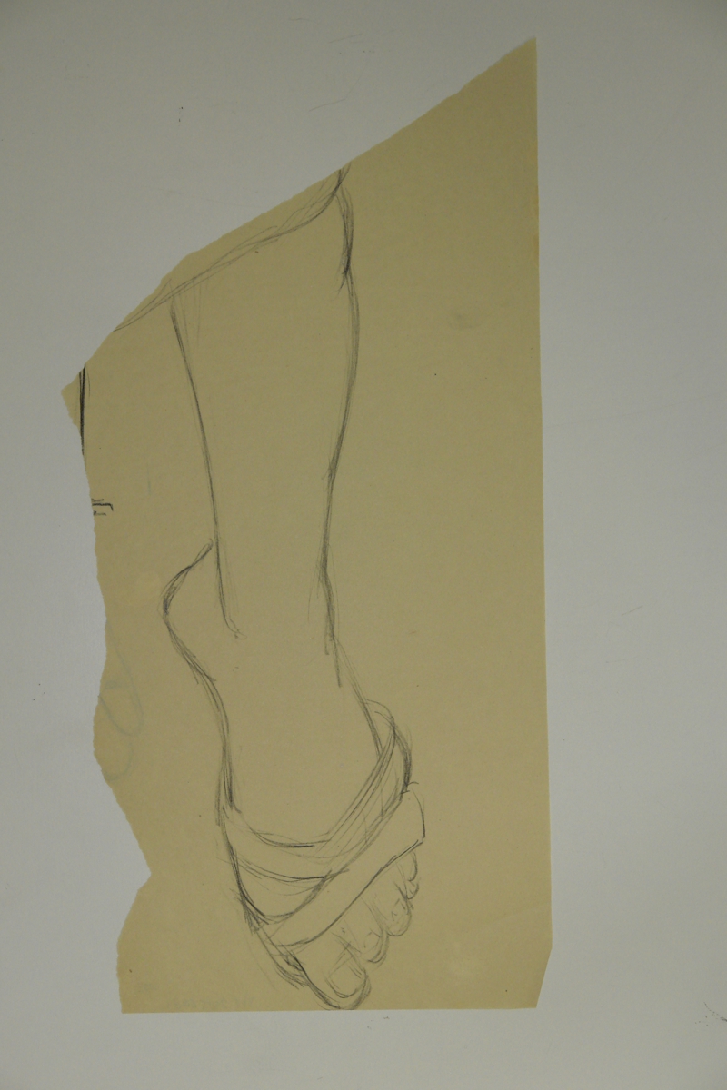 Foot study