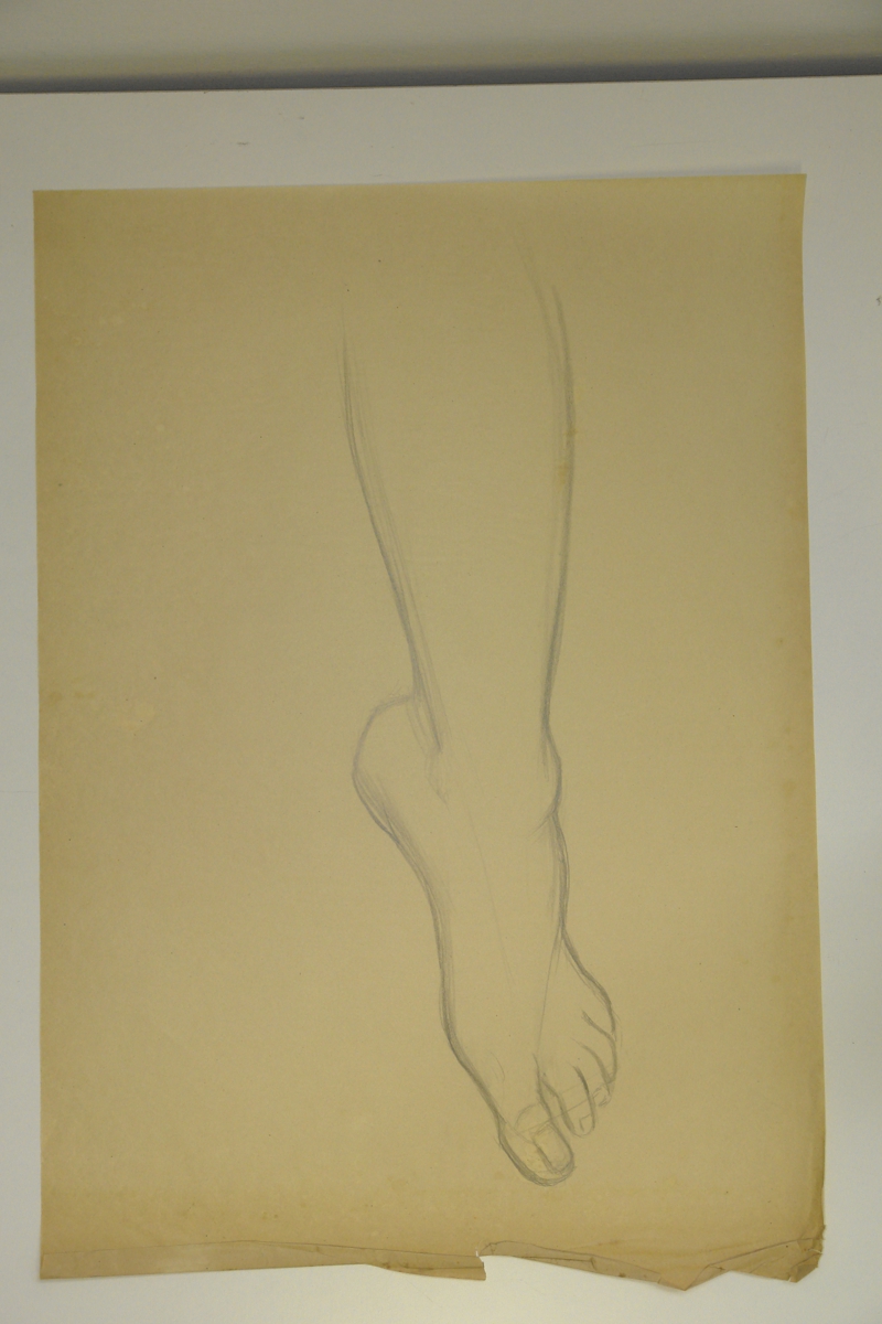 Foot study