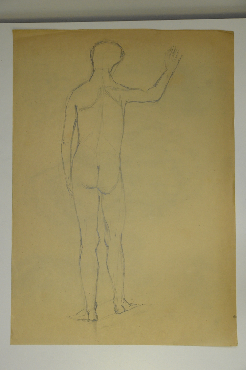 Male nude