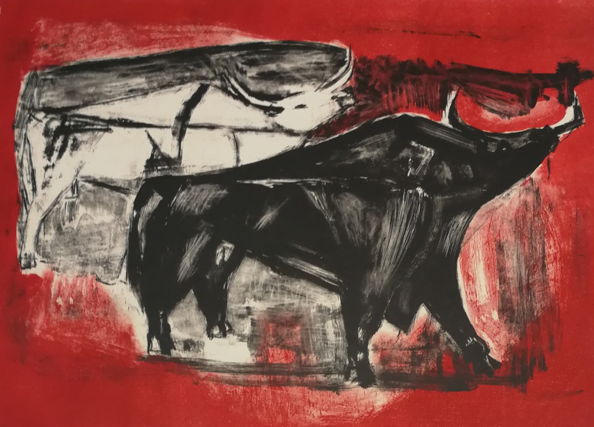 Bulls