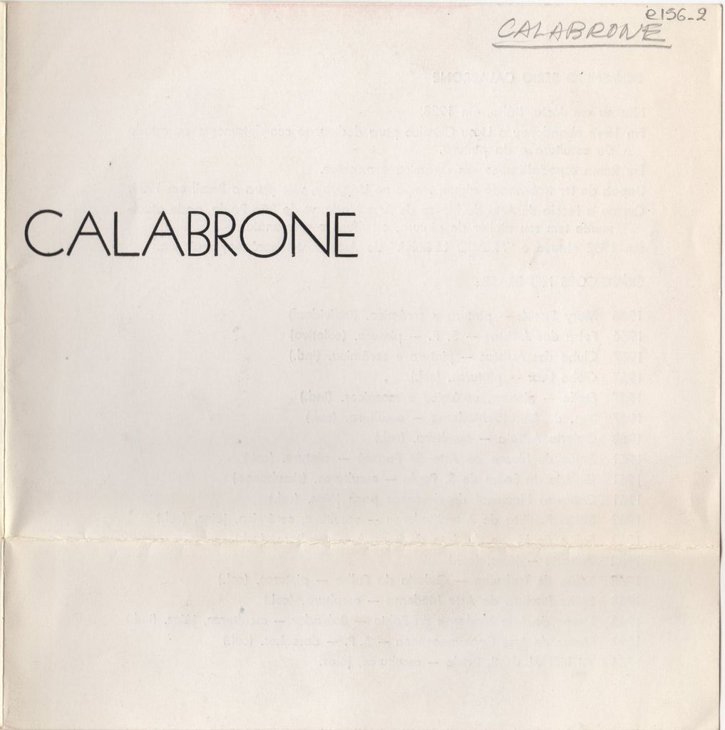 Έκθεση Domenico Calabrone