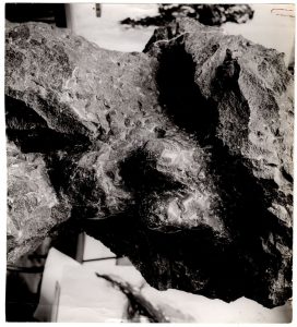 Αναπαραγωγή έργου “Prostrée”