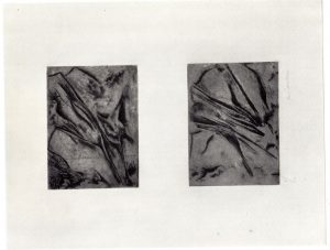 Αναπαραγωγή έργου