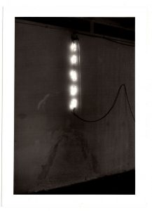 Αναπαραγωγή έργου