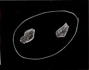 Αναπαραγωγή έργου