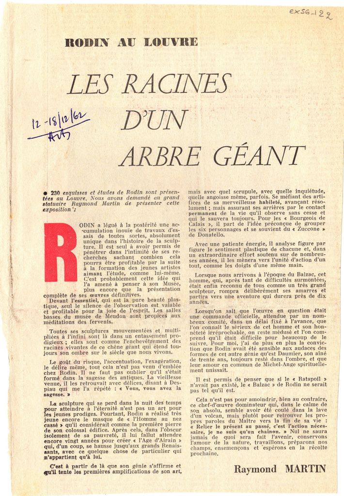 “Les racines d’ un arbre géant”