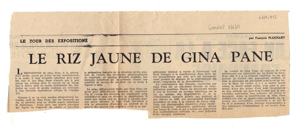 “Le riz jaune de Gina Pane”