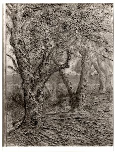 Αναπαραγωγή έργου