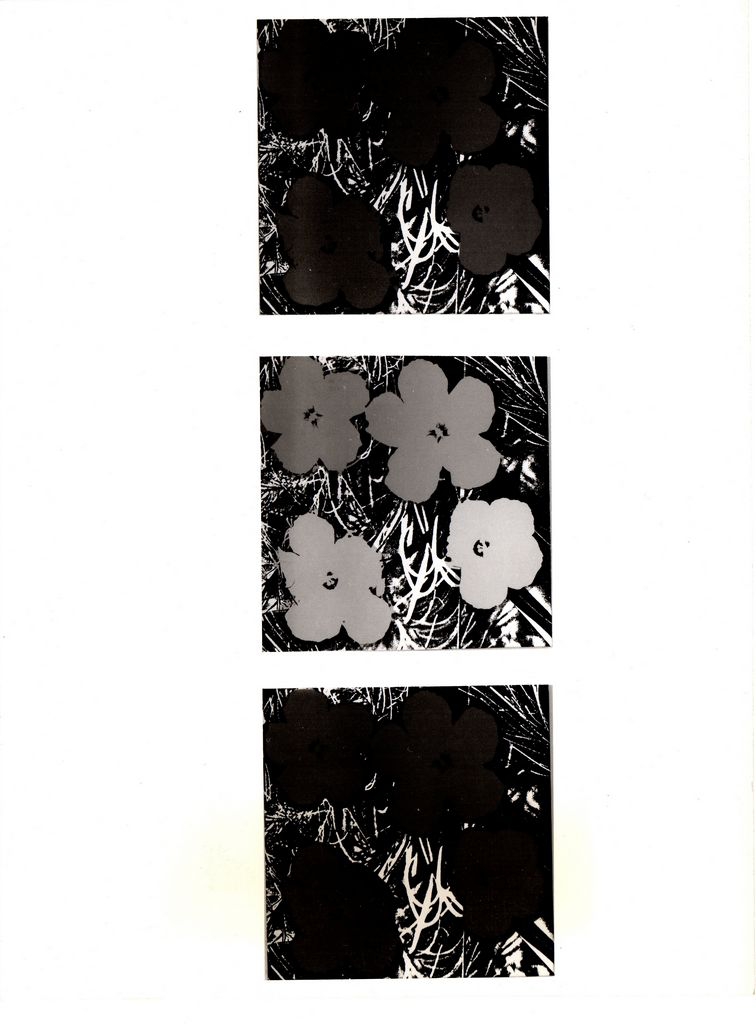 Αναπαραγωγή έργου “Flowers”