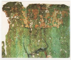 Έκθεση Ρένας Παπασπύρου-Βαρδάκα