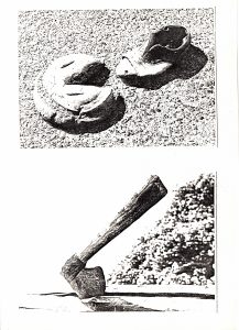 Αναπαραγωγή έργου “Η έλξη των Αψύχων”