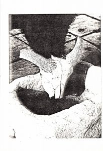 Αναπαραγωγή έργου “Εγκλοβισμένα ζώα”