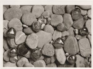 Αναπαραγωγή έργου