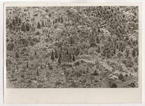 Αναπαραγωγή έργου