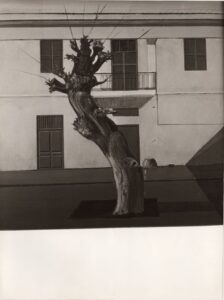 Αναπαραγωγή έργου της Χαρίκλειας Μυταρά