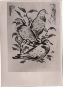 Περιστέρια