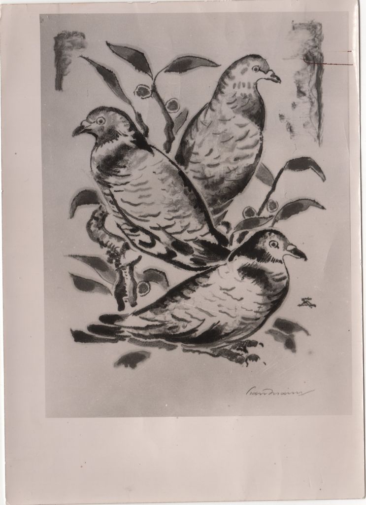 Περιστέρια